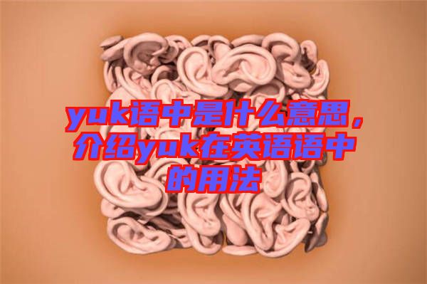 yuk語中是什么意思，介紹yuk在英語語中的用法