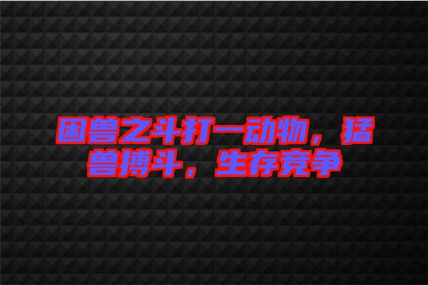 困獸之斗打一動(dòng)物，猛獸搏斗，生存競爭