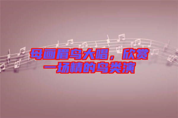 母畫眉鳥大唱，欣賞一場精的鳥類演