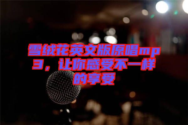 雪絨花英文版原唱mp3，讓你感受不一樣的享受
