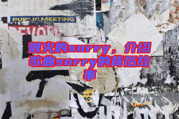 很火的sorry，介紹歌曲sorry的背后故事