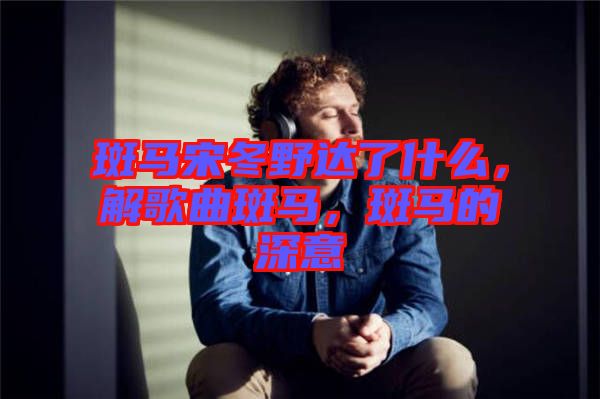 斑馬宋冬野達了什么，解歌曲斑馬，斑馬的深意