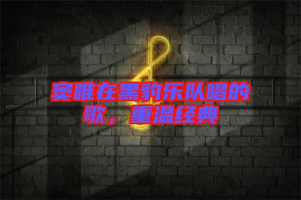 竇唯在黑豹樂(lè)隊(duì)唱的歌，重溫經(jīng)典