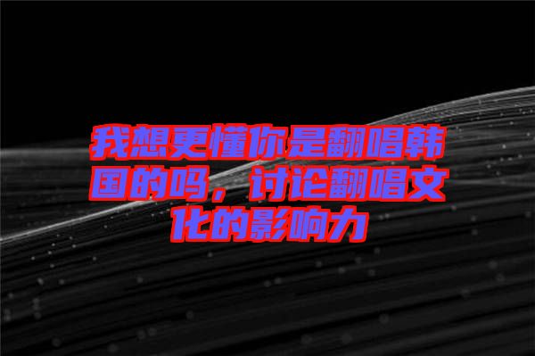 我想更懂你是翻唱韓國的嗎，討論翻唱文化的影響力