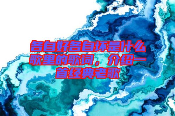 各自好各自壞是什么歌里的歌詞，介紹一首經(jīng)典老歌