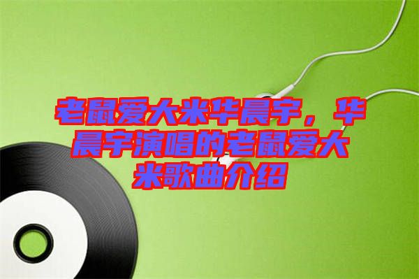 老鼠愛大米華晨宇，華晨宇演唱的老鼠愛大米歌曲介紹