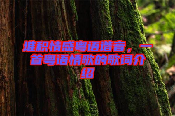 堆積情感粵語諧音，一首粵語情歌的歌詞介紹