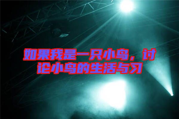 如果我是一只小鳥，討論小鳥的生活與習