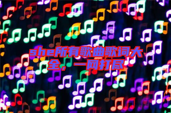 she所有歌曲歌詞大全，一網(wǎng)打盡