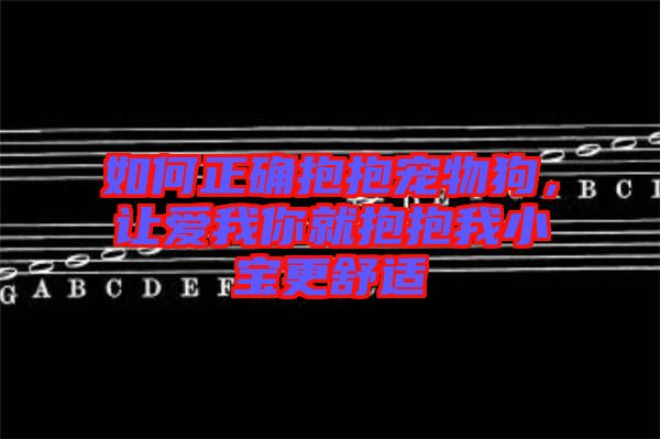 如何正確抱抱寵物狗，讓愛我你就抱抱我小寶更舒適