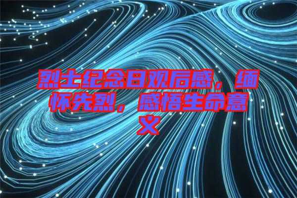 烈士紀(jì)念日觀后感，緬懷先烈，感悟生命意義