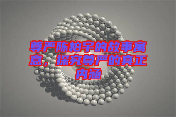 尊嚴(yán)陳柏宇的故事寓意，探究尊嚴(yán)的真正內(nèi)涵