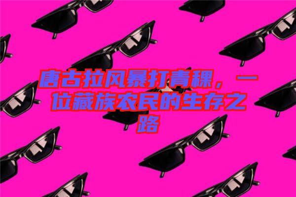 唐古拉風(fēng)暴打青稞，一位藏族農(nóng)民的生存之路