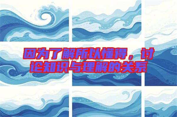 因為了解所以懂得，討論知識與理解的關(guān)系