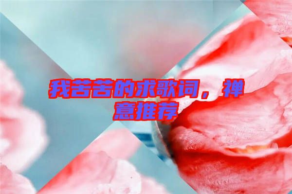 我苦苦的求歌詞，禪意推薦