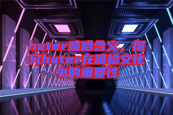 hater嘻哈含義，探究hater在嘻哈文化中的重要性