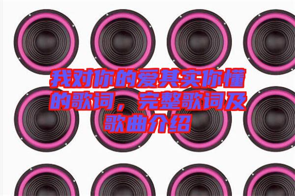 我對(duì)你的愛(ài)其實(shí)你懂的歌詞，完整歌詞及歌曲介紹