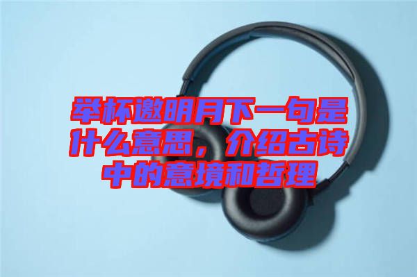 舉杯邀明月下一句是什么意思，介紹古詩中的意境和哲理
