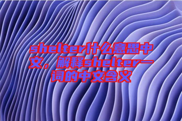 shelter什么意思中文，解釋shelter一詞的中文含義