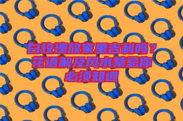 白玫瑰放家里吉利嗎？花語解及風水禁忌你必須知道