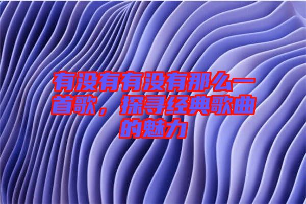 有沒有有沒有那么一首歌，探尋經(jīng)典歌曲的魅力