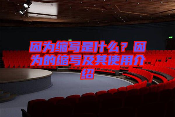 因?yàn)榭s寫是什么？因?yàn)榈目s寫及其使用介紹