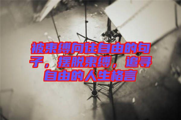 被束縛向往自由的句子，擺脫束縛，追尋自由的人生格言