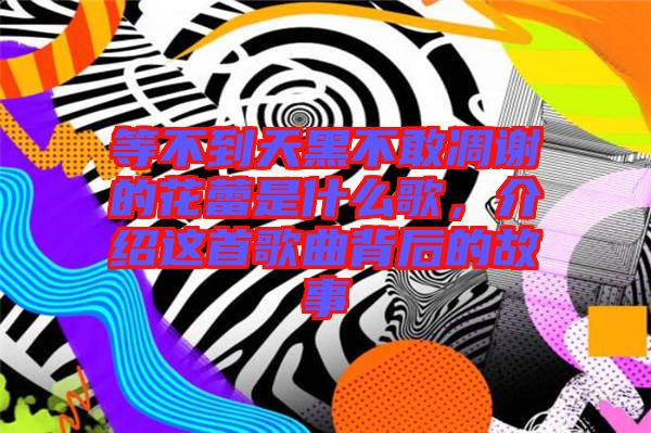 等不到天黑不敢凋謝的花蕾是什么歌，介紹這首歌曲背后的故事