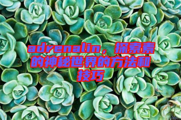 adrenalin，探索素的神秘世界的方法和技巧