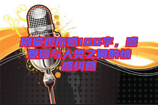 劇貓觀后感100字，感受貓與人類之間的情感糾葛