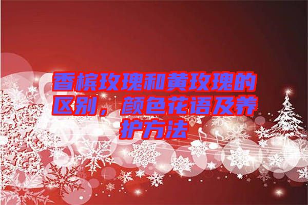 香檳玫瑰和黃玫瑰的區(qū)別，顏色花語(yǔ)及養(yǎng)護(hù)方法