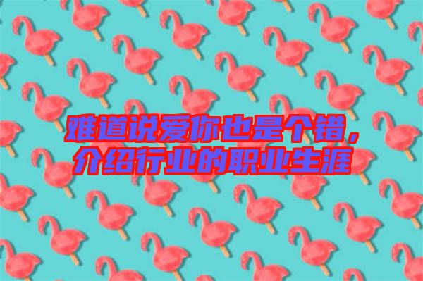 難道說愛你也是個(gè)錯(cuò)，介紹行業(yè)的職業(yè)生涯