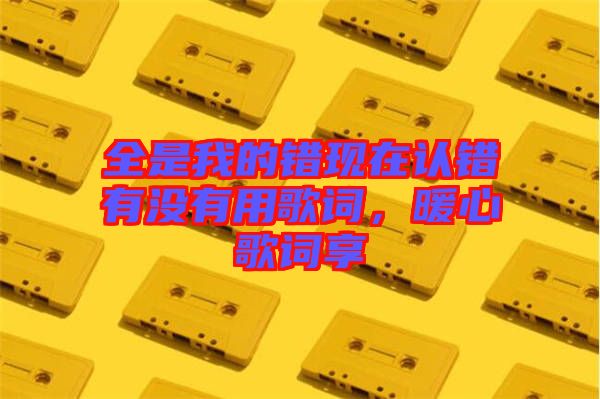 全是我的錯現(xiàn)在認(rèn)錯有沒有用歌詞，暖心歌詞享