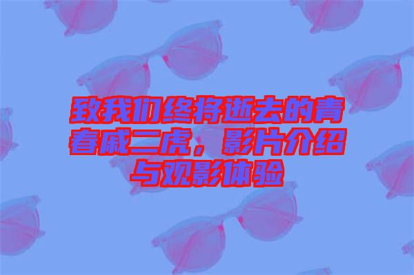 致我們終將逝去的青春戚二虎，影片介紹與觀影體驗(yàn)