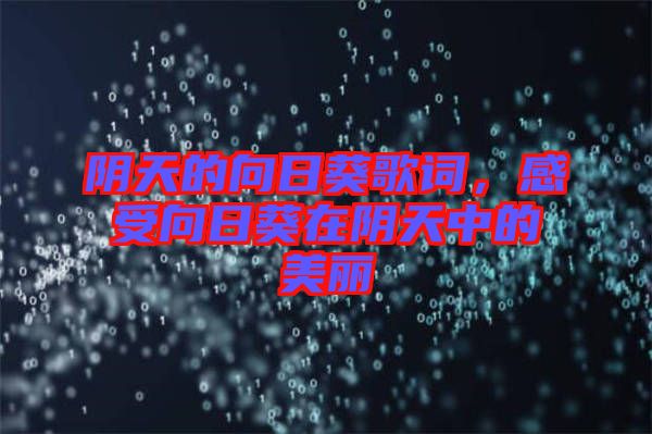 陰天的向日葵歌詞，感受向日葵在陰天中的美麗