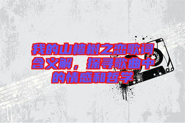 我的山楂樹之戀歌詞含義解，探尋歌曲中的情感和哲學(xué)