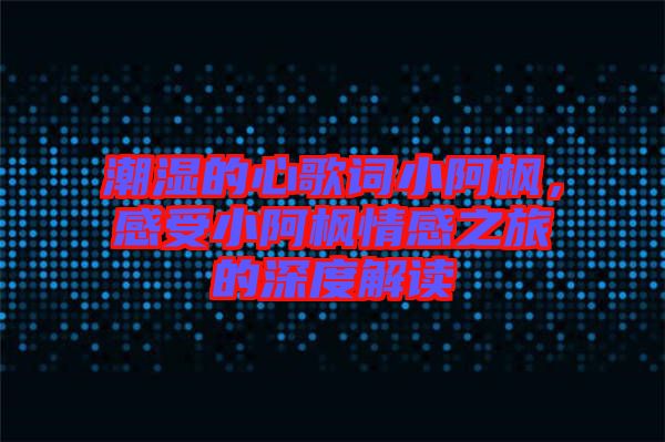 潮濕的心歌詞小阿楓，感受小阿楓情感之旅的深度解讀