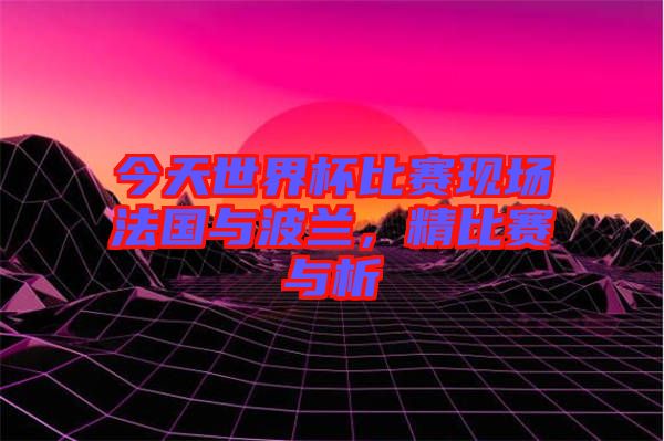 今天世界杯比賽現(xiàn)場法國與波蘭，精比賽與析
