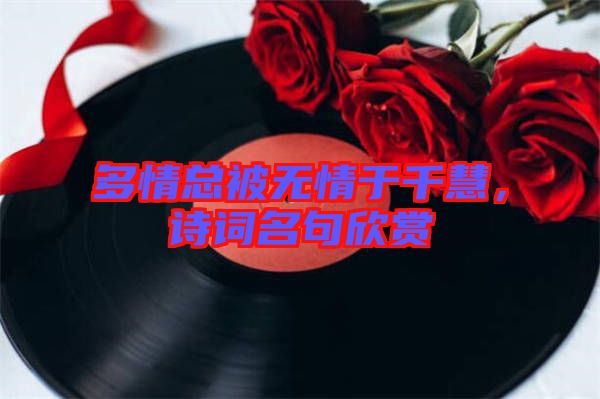 多情總被無情于千慧，詩詞名句欣賞