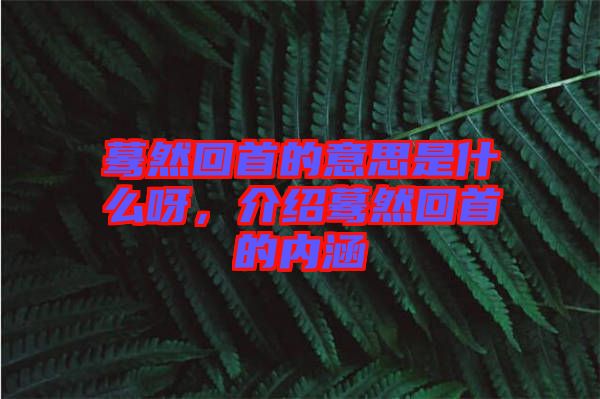 驀然回首的意思是什么呀，介紹驀然回首的內(nèi)涵