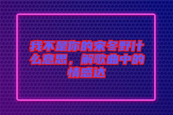 我不是你的宋冬野什么意思，解歌曲中的情感達(dá)