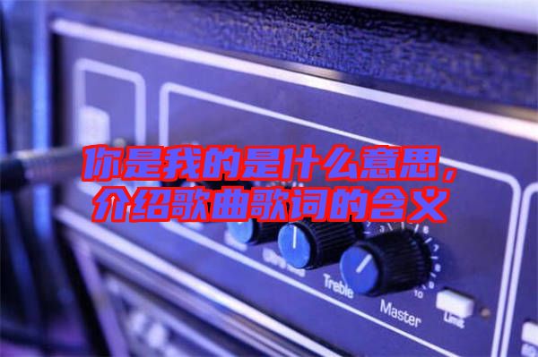 你是我的是什么意思，介紹歌曲歌詞的含義