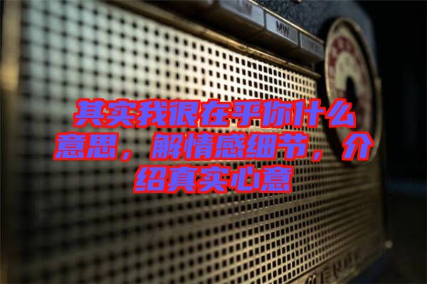 其實我很在乎你什么意思，解情感細節(jié)，介紹真實心意