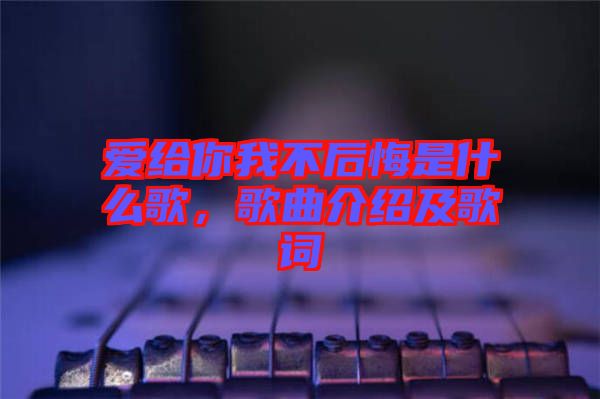 愛給你我不后悔是什么歌，歌曲介紹及歌詞