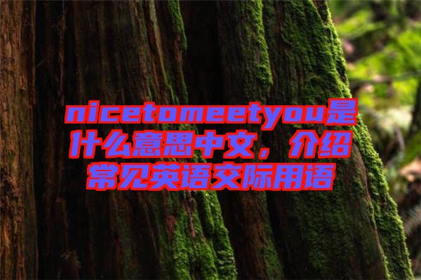 nicetomeetyou是什么意思中文，介紹常見英語交際用語