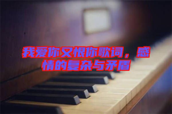 我愛(ài)你又恨你歌詞，感情的復(fù)雜與矛盾