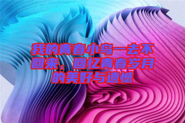 我的青春小鳥一去不回來，回憶青春歲月的美好與遺憾