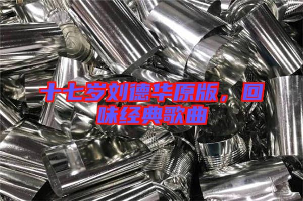 十七歲劉德華原版，回味經(jīng)典歌曲