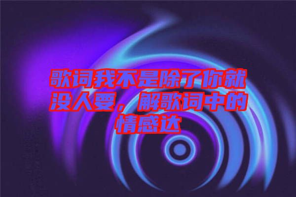 歌詞我不是除了你就沒人要，解歌詞中的情感達(dá)