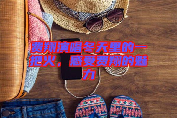 費翔演唱冬天里的一把火，感受費翔的魅力